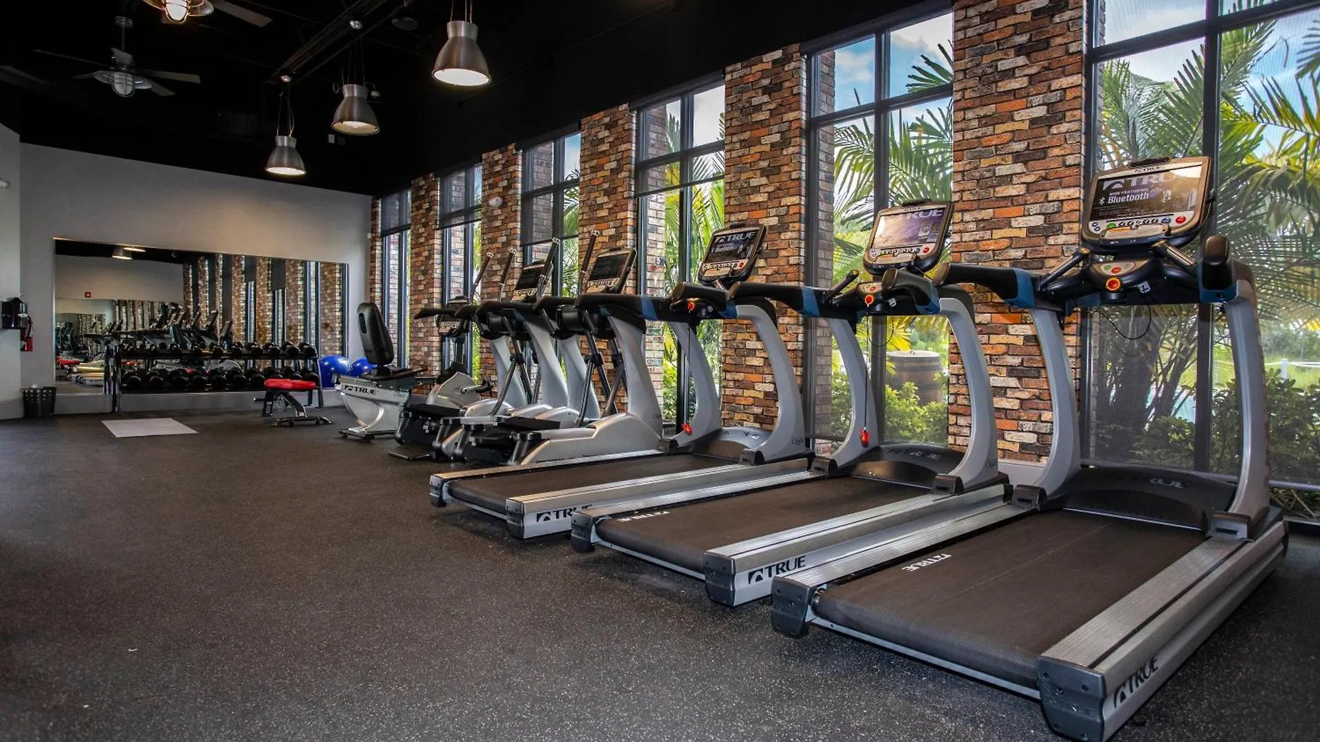 Pet Friendly Luxury Escape Minutes From Disney 347 Davenport 0*,  United States
